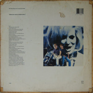 Pet Shop Boys - What have i done to deserve this